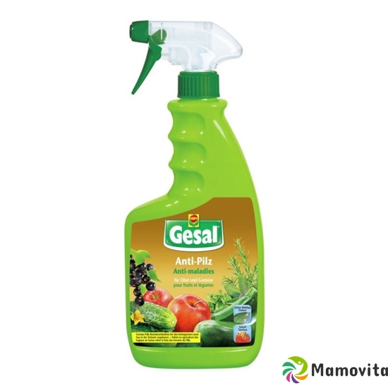 Gesal Anti-Pilz für Obst und Gemüse Spray 750ml buy online