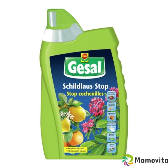 Gesal Schildlaus-Stop Flasche 500ml buy online