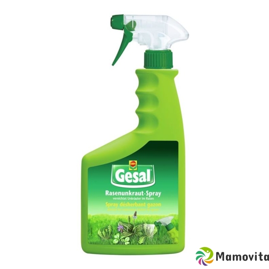 Gesal Rasenunkraut-Spray Gebrauchsfertig 750ml buy online