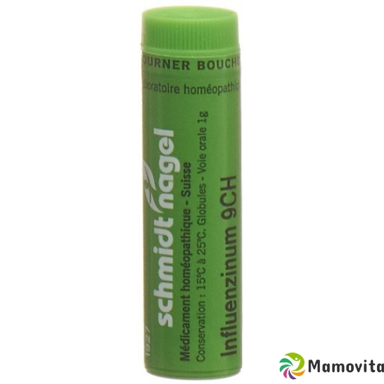 Sn Influenzinum Globuli Ch 9 17/18 Tube 1g buy online