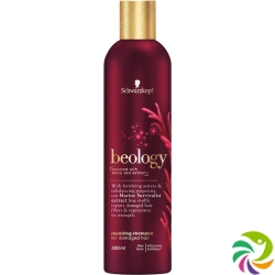 Beology Shampoo Repair 400ml