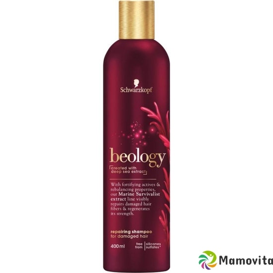 Beology Shampoo Repair 400ml buy online