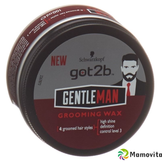 Got2b Gentlemen Grooming Wax 100ml buy online