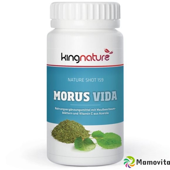 Kingnature Morus Vida Kapseln Dose 72 Stück buy online