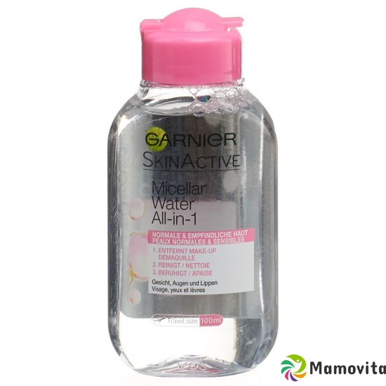 Garnier Skinactive Micellar Mini Cl Flasche 100ml buy online