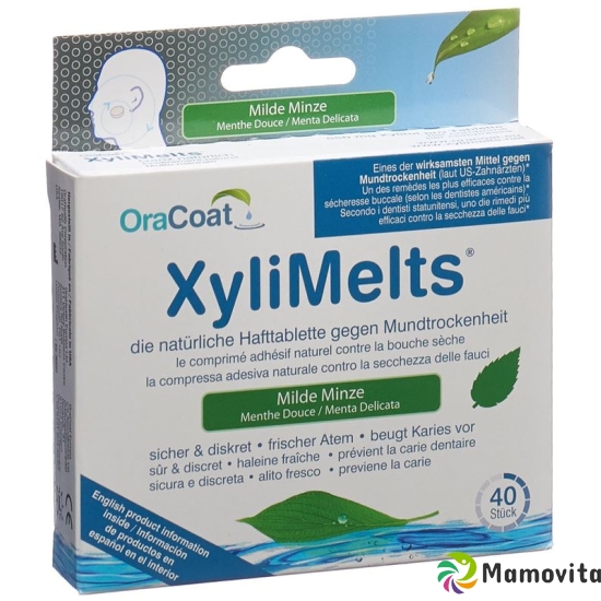 Xylimelts throat lozenges G Dry mouth 40 pieces buy online