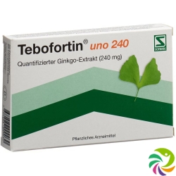 Tebofortin Uno 240 Filmtabletten 240mg 20 Stück