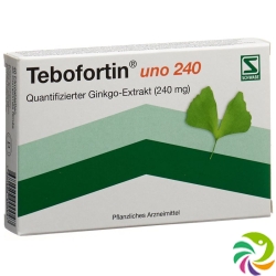 Tebofortin Uno 240 Filmtabletten 240mg 40 Stück