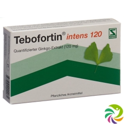 Tebofortin Intens 120 Filmtabletten 120mg 30 Stück