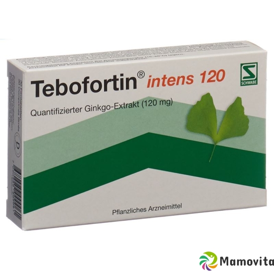 Tebofortin Intens 120 Filmtabletten 120mg 30 Stück buy online