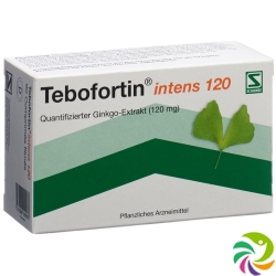 Tebofortin Intens 120 Filmtabletten 120mg 90 Stück