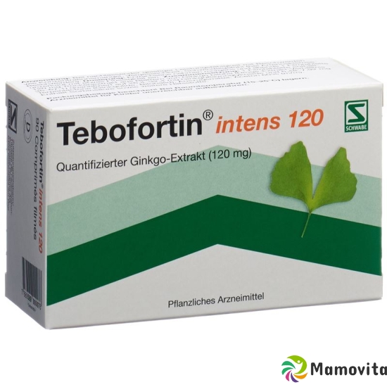 Tebofortin Intens 120 Filmtabletten 120mg 90 Stück buy online