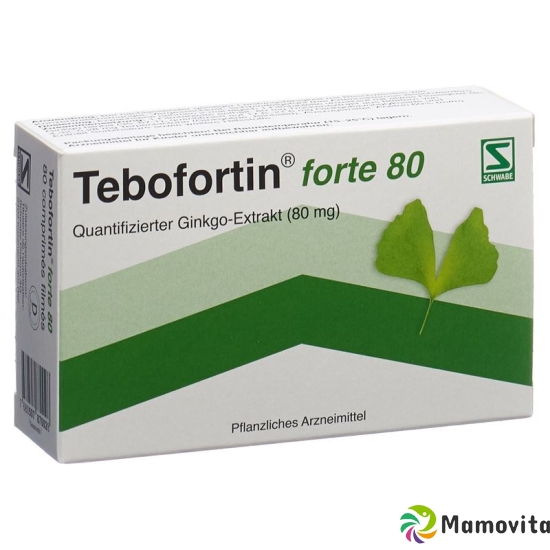 Tebofortin Forte 80 Filmtabletten 80mg 80 Stück buy online