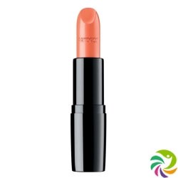 Artdeco Perfect Color Lipstick 13 860