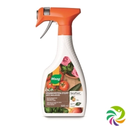 Maag Sanoplant Pilz-Stopp Spray Bio 500ml