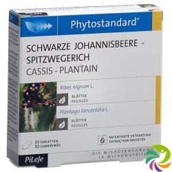 Phytostandard Schw Johannisb-Spitzw Tabletten 30 Stück