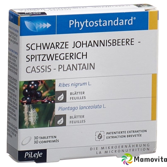 Phytostandard Schw Johannisb-Spitzw Tabletten 30 Stück buy online