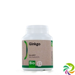 Bionaturis Ginkgo 250mg Flasche 120 Stück