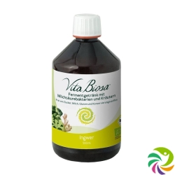 Vita Biosa Probiotic Ingwer Flasche 500ml