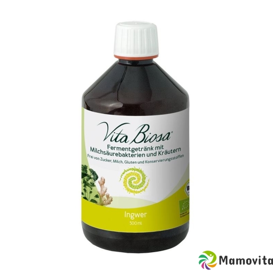 Vita Biosa Probiotic Ingwer Flasche 500ml buy online