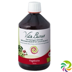 Vita Biosa Probiotic Hagebutte Flasche 500ml