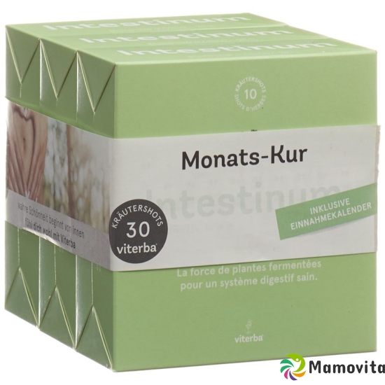 Viterba Kurpackung Intestinum Shot 3x 10 Stück buy online