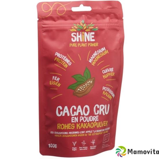 Shine Rohes Kakaopulver Bio Beutel 100g buy online