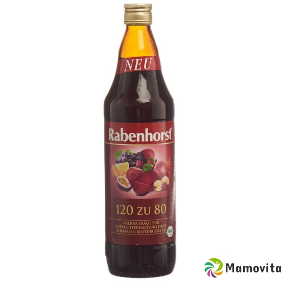 Rabenhorst 120 Zu 80 Saft Bio Flasche 7.5dl buy online