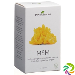 Phytopharma MSM Kapseln 1000mg Dose 90 Stück