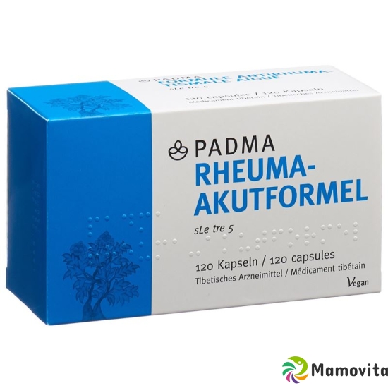 Padma Rheuma-Akutformel Kapseln 120 Stück buy online