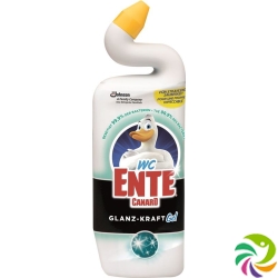 WC-ente Glanz-Kraft Gel Flasche 750ml