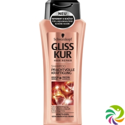 Gliss Kur Shampoo Prachtvolle Kräftigung 250ml