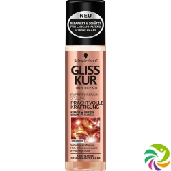 Gliss Kur Erc Prachtvolle Kräftigung Neu 250ml