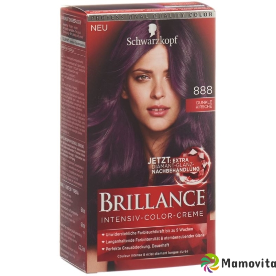 Brilliance 888 Dark Cherry buy online