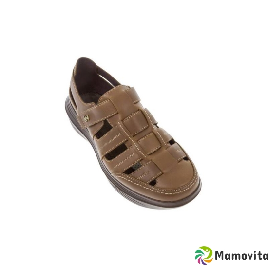 Kyboot Arbon 39 2/3 Brown M 1 Paar buy online