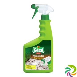 Gesal Ameisenstop Barriere Spray 750ml