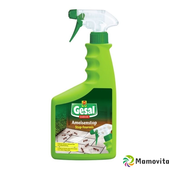 Gesal Ameisenstop Barriere Spray 750ml buy online