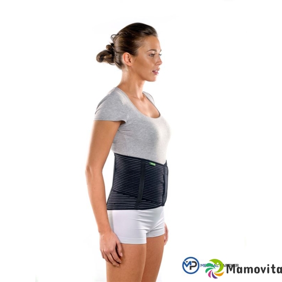 Braceid Double Cross Back Brace S buy online