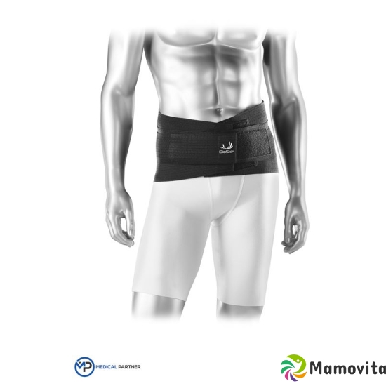 Bioskin back bandage M Standard Back Skin buy online