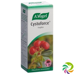 Vogel Cystoforce Tropfen Glasflasche 50ml