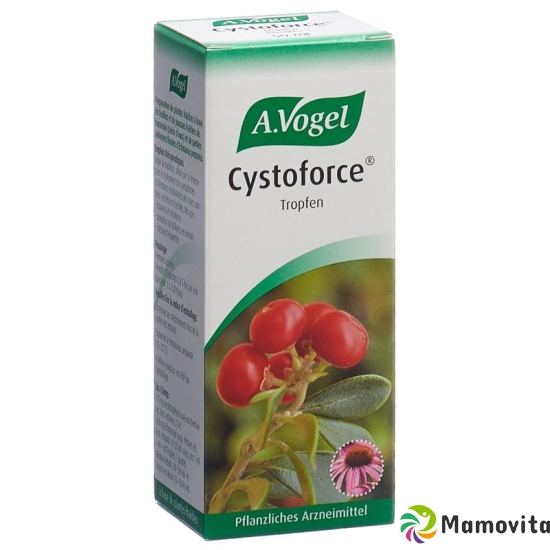 Vogel Cystoforce Tropfen Glasflasche 50ml buy online