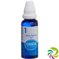 Omida Schüssler No1 Cal Fluor Dil D 12 Flasche 30ml