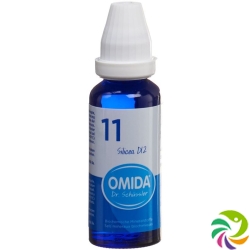 Omida Schüssler No11 Silicea Dil D 12 Flasche 30ml