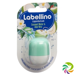 Labello Labellino Aloe Vera & Coconut Water 7g