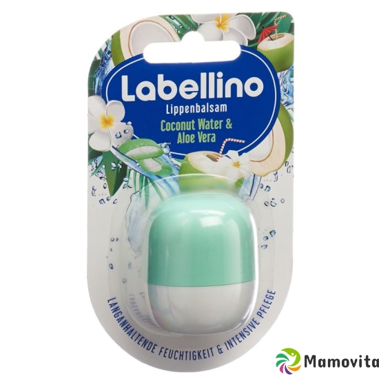 Labello Labellino Aloe Vera & Coconut Water 7g buy online