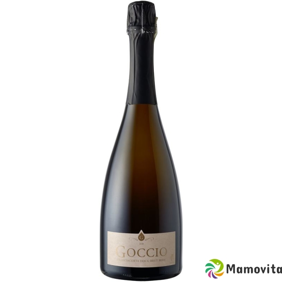 Franciacorta Docg Brut Seda Il Goccio 6x 75cl buy online