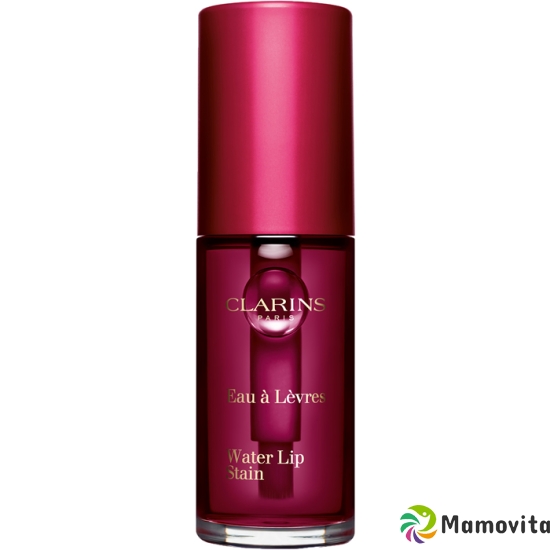 Clarins Water Lip Stain No 04 buy online