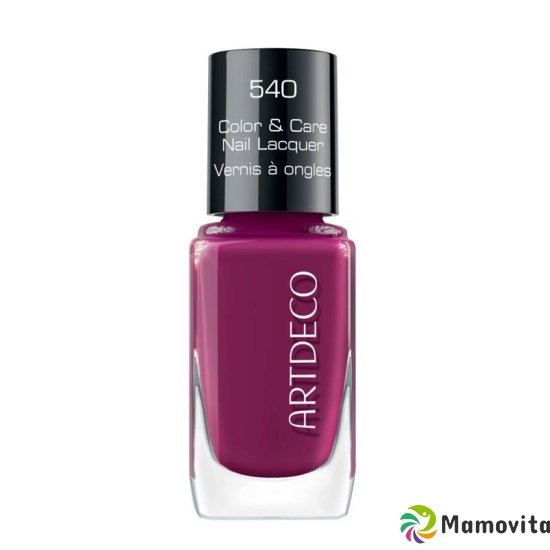 Artdeco Color & Care Nail Lacquer 1190 540 buy online