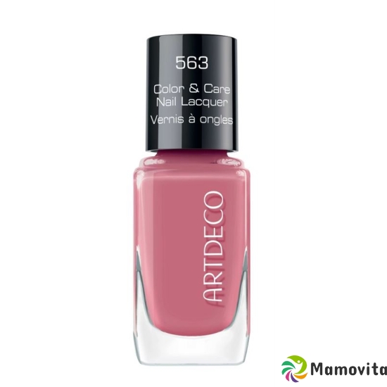 Artdeco Color & Care Nail Lacquer 1190 563 buy online