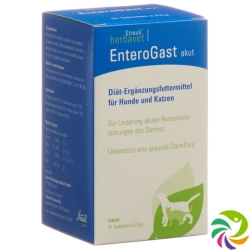 Enterogast Akut Tabletten Dose 21 Stück